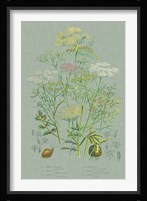 Flowering Plants II Green Linen Framed Print