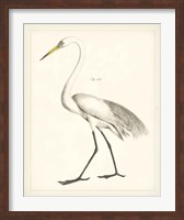 Vintage Heron II Fine Art Print