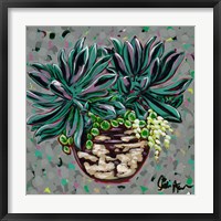 Succulent Pot I Framed Print