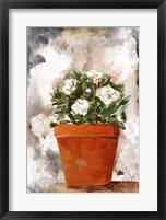 White Flower Clay Pot I Framed Print