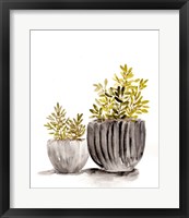 Gray Potted Plants Fine Art Print