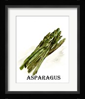 Veggie Sketch I-Asparagus Framed Print
