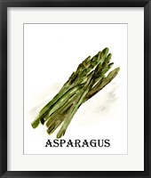 Veggie Sketch I-Asparagus Framed Print