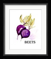 Veggie Sketch III-Beets Framed Print