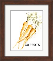 Veggie Sketch V-Carrots Fine Art Print