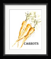 Veggie Sketch V-Carrots Framed Print