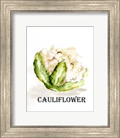 Veggie Sketch VI-Cauliflower Fine Art Print