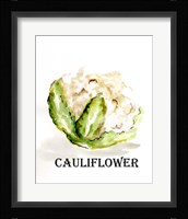 Veggie Sketch VI-Cauliflower Framed Print