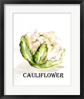 Veggie Sketch VI-Cauliflower Framed Print
