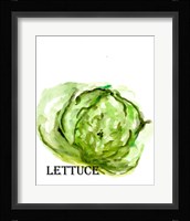 Veggie Sketch IX-Lettuce Framed Print