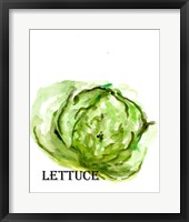 Veggie Sketch IX-Lettuce Fine Art Print