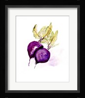 Veggie Sketch plain III-Beets Framed Print