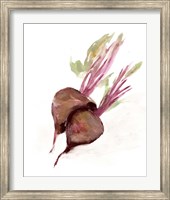 Veggie Sketch plain IV-Brown Beets Fine Art Print
