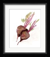 Veggie Sketch plain IV-Brown Beets Framed Print