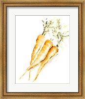 Veggie Sketch plain V-Carrots Fine Art Print