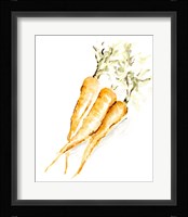 Veggie Sketch plain V-Carrots Framed Print