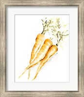 Veggie Sketch plain V-Carrots Fine Art Print