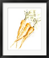 Veggie Sketch plain V-Carrots Framed Print