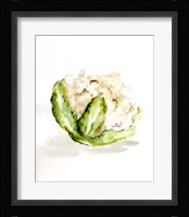 Veggie Sketch plain VI-Cauliflower Framed Print