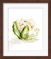 Veggie Sketch plain VI-Cauliflower Fine Art Print