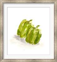 Veggie Sketch plain VIII-Green Pepper Fine Art Print