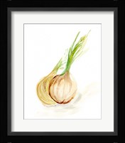 Veggie Sketch plain X-Onion Framed Print