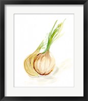 Veggie Sketch plain X-Onion Framed Print