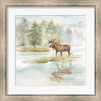 Woodland Reflections II-Moose Fine Art Print