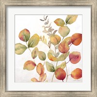 Eucalyptus Leaves Spice I Fine Art Print