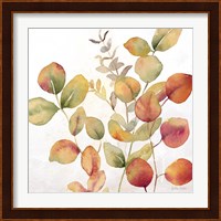 Eucalyptus Leaves Spice I Fine Art Print