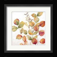Eucalyptus Leaves Spice I Framed Print