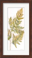 Fall Botanical Panel III Fine Art Print
