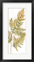 Fall Botanical Panel III Framed Print