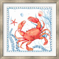 Nautical Sea Life I-Crab Fine Art Print