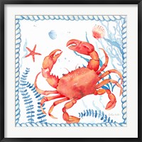 Nautical Sea Life I-Crab Fine Art Print