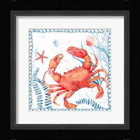 Nautical Sea Life I-Crab Framed Print