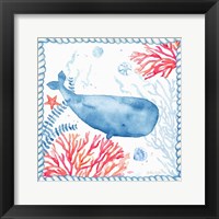 Nautical Sea Life II-Whale Framed Print