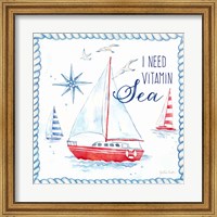 Nautical Sea Life IV-Sailboat Fine Art Print