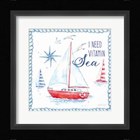 Nautical Sea Life IV-Sailboat Framed Print