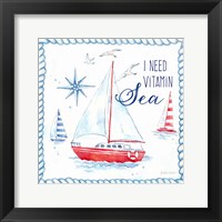 Nautical Sea Life IV-Sailboat Fine Art Print