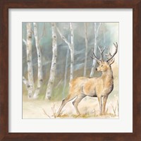 Woodland Reflections III-Deer Fine Art Print