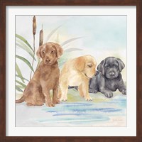 Woodland Dogs III Fine Art Print