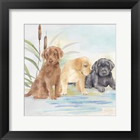 Woodland Dogs III Framed Print