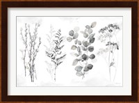 Indigo Botanicals landscape neutral Fine Art Print