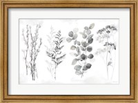 Indigo Botanicals landscape neutral Fine Art Print