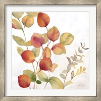 Eucalyptus Leaves Spice II Fine Art Print