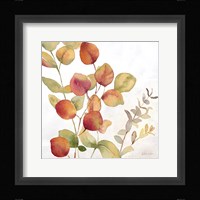 Eucalyptus Leaves Spice II Framed Print