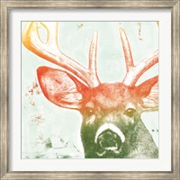 Portrait of a Deer rainbow Fine Art Print