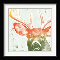 Portrait of a Deer rainbow Framed Print