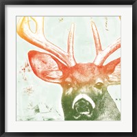 Portrait of a Deer rainbow Fine Art Print